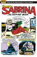 SABRINA THE TEENAGE WITCH MAGIC UNLEASHED ONE SHOT) CVR B DAN DECARLO RETRO ART VAR