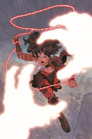 ABSOLUTE WONDER WOMAN 13 CVR A HAYDEN SHERMAN