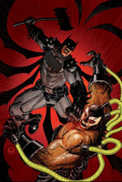 ABSOLUTE BATMAN 14 CVR B DAVE JOHNSON CARD STOCK VAR