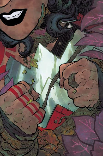 ABSOLUTE WONDER WOMAN 14 CVR A HAYDEN SHERMAN