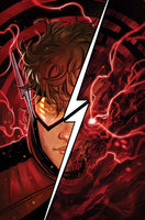 ABSOLUTE FLASH 10 CVR A NICK ROBLES