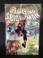 AMAZING SPIDER-MAN BY WELLS ROMITA JR TP VOL 02 NEW SINISTER MARVEL COMICS (1D092325)