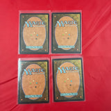 Summer Bloom Visions Regular X4