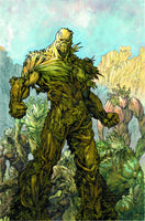 SWAMP THING #25